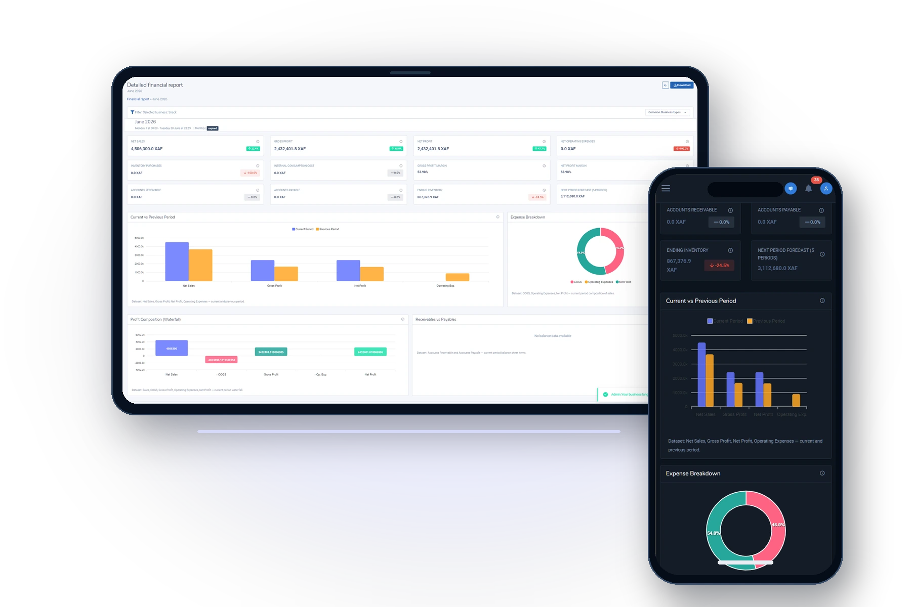 HostedERP financial report on a tablet and mobile report on a phone in dark theme