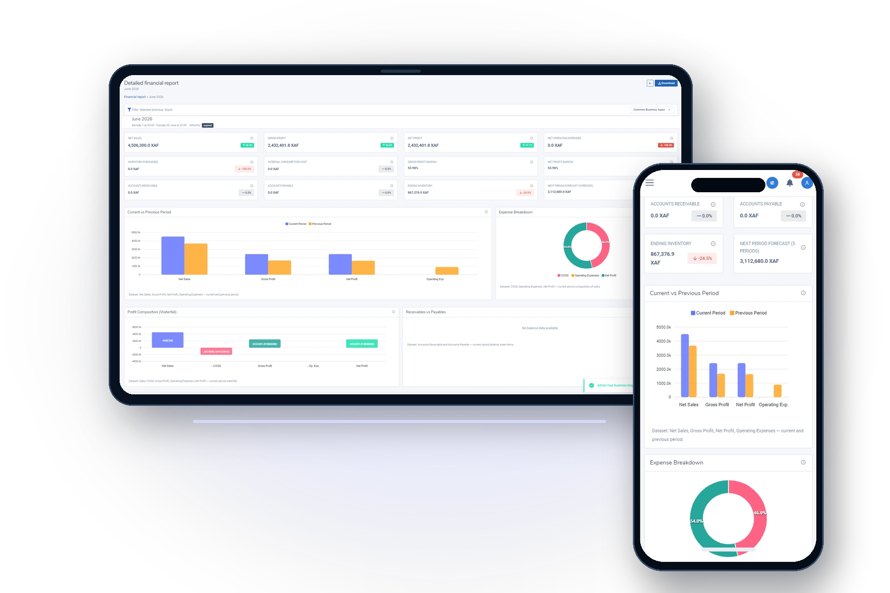 HostedERP financial report on a tablet and mobile report on a phone