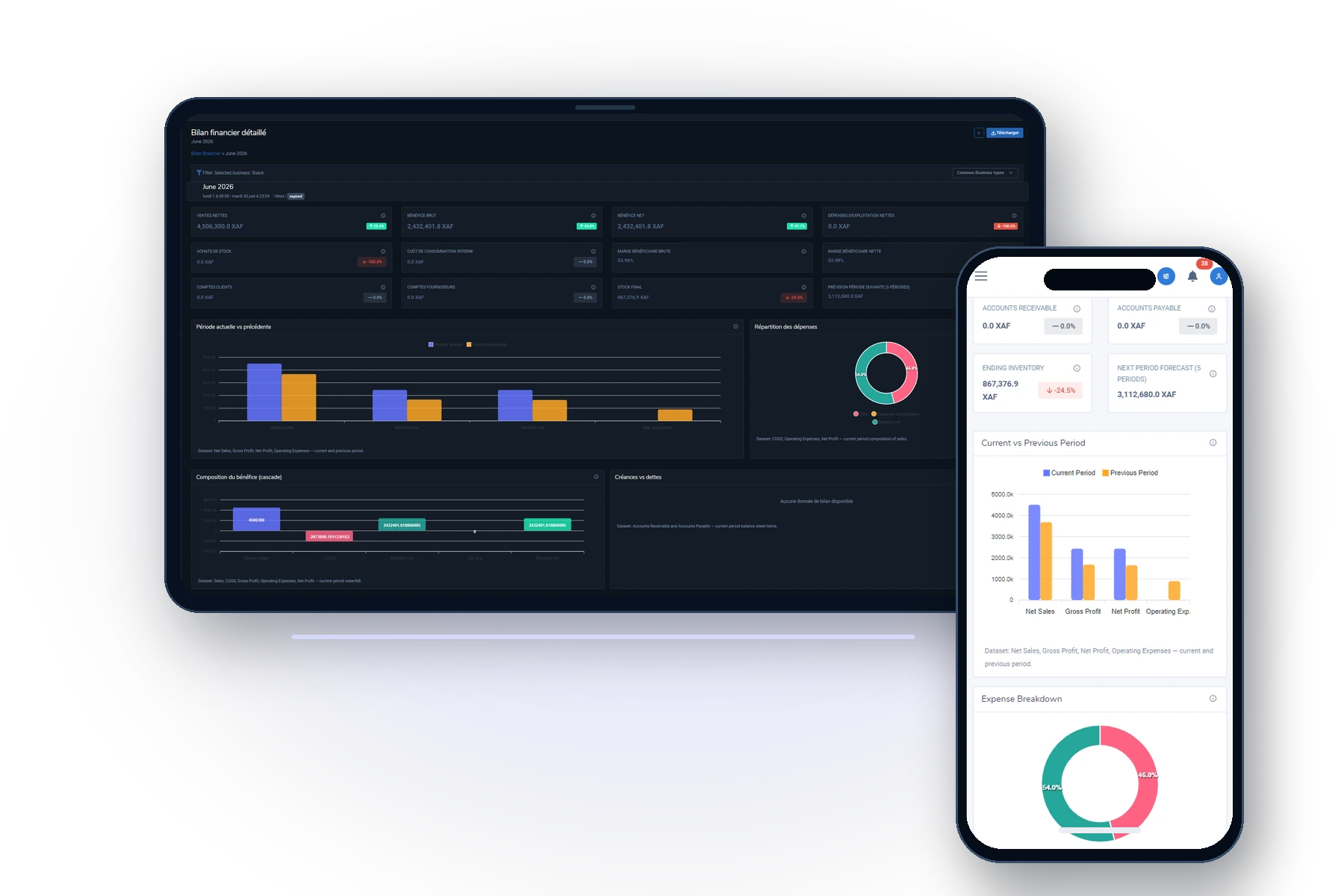 Bilan financier HostedERP sur tablette et rapport mobile sur téléphone